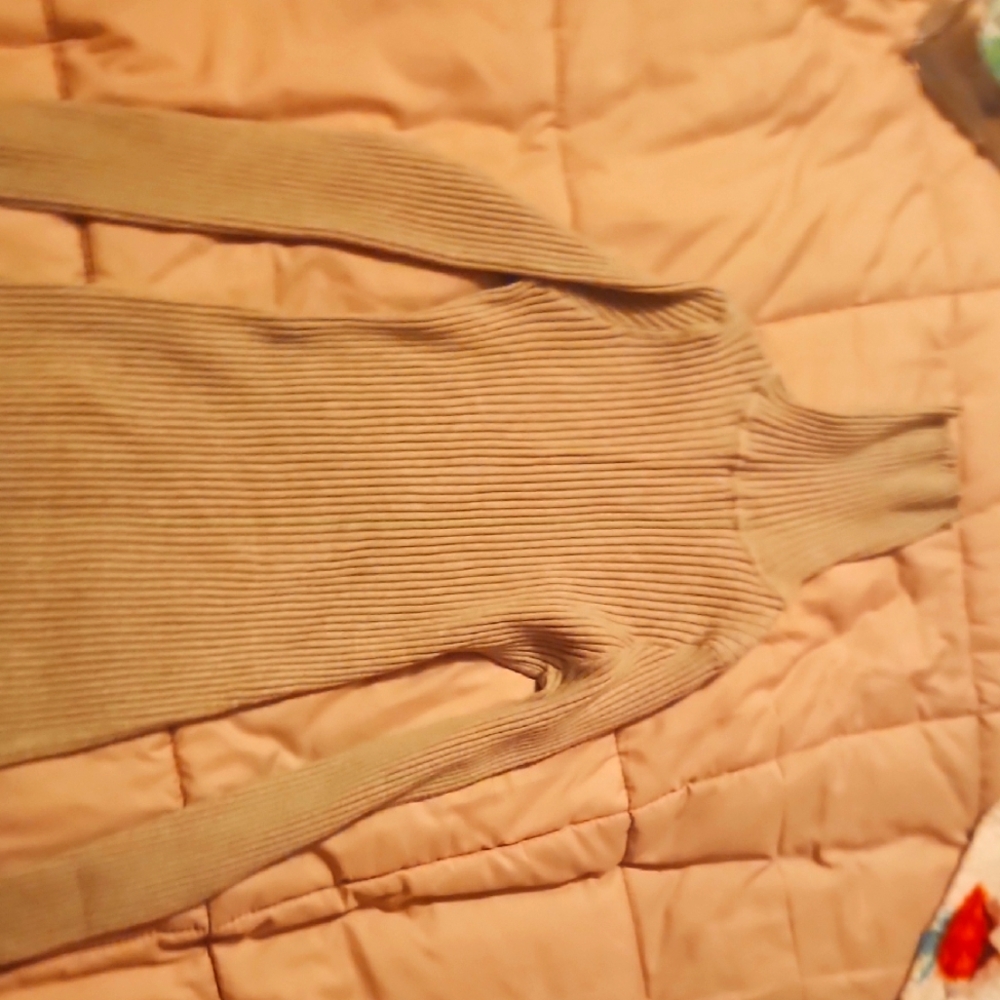 Ribbed Turtleneck Sweater